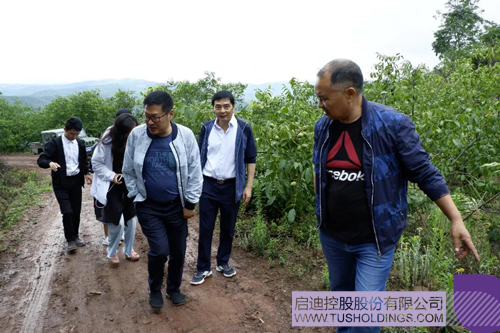 1594633763765294.jpg 2 副本.jpg